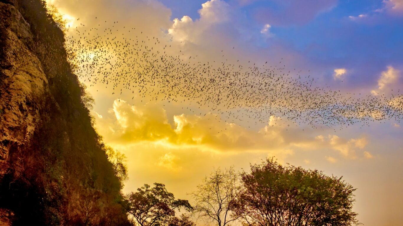 Start your journey with Battambang’s vibrant glow